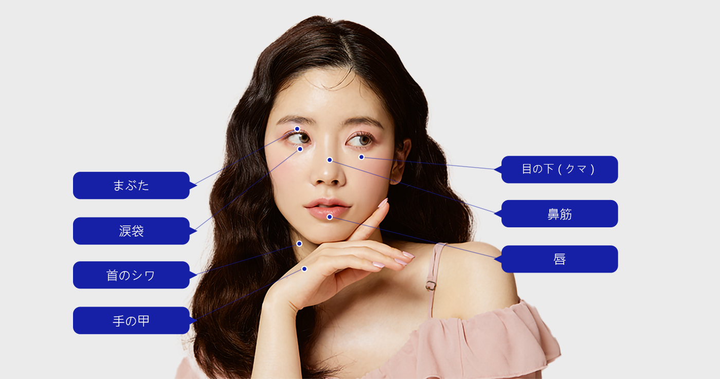 모델