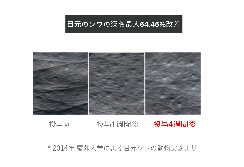 모델