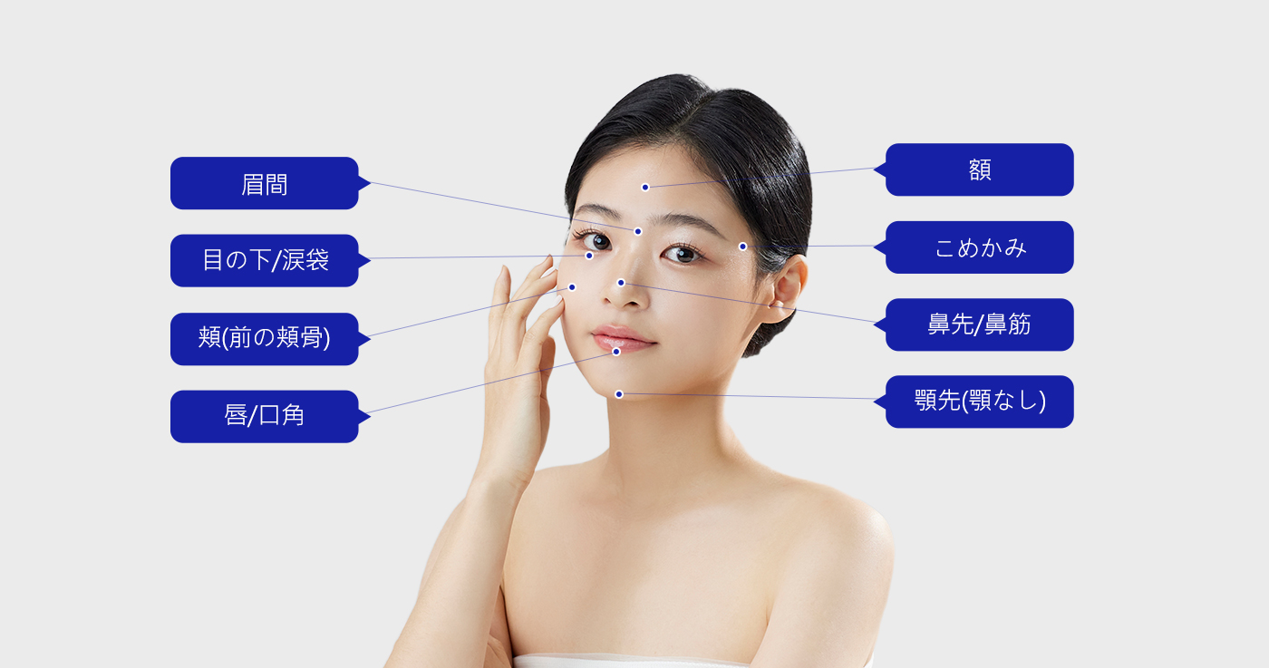 모델