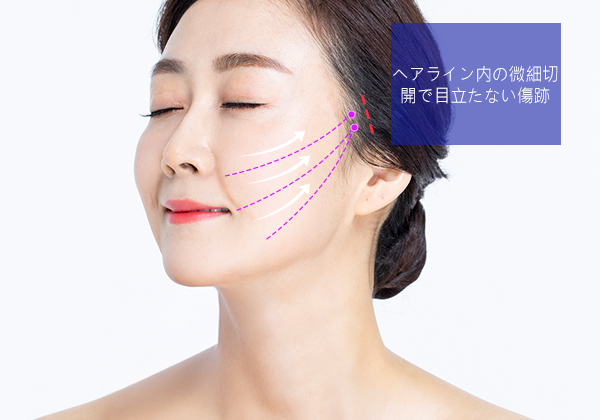 모델